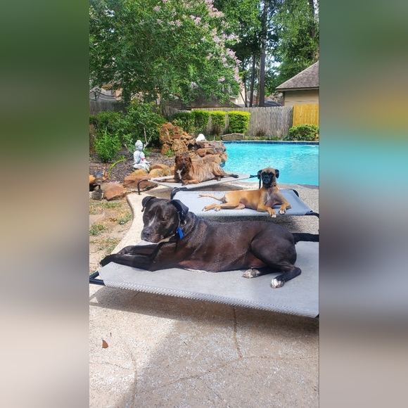 I'm RKB! - Picture 7 of 9